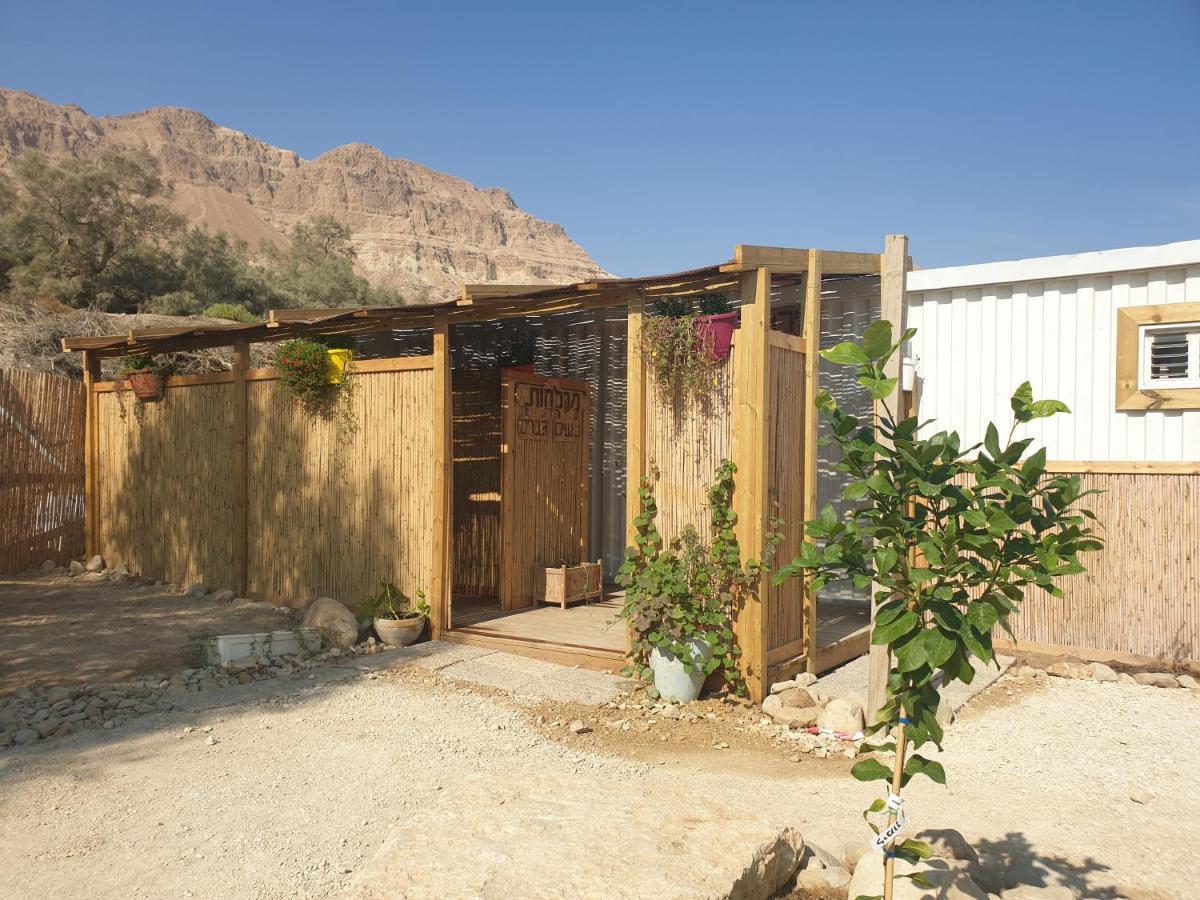 Ein Gedi Caravan By Dory Caravan Εξωτερικό φωτογραφία