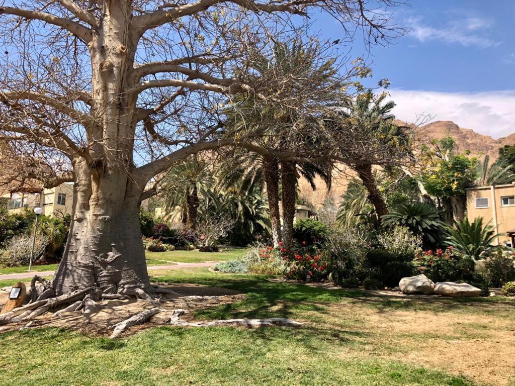 Ein Gedi Caravan By Dory Caravan Εξωτερικό φωτογραφία